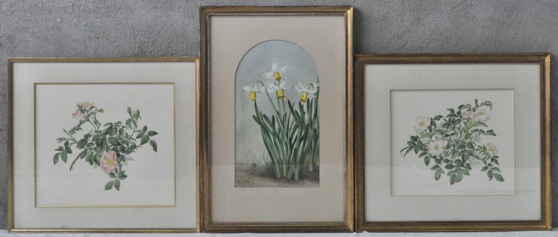 Twee afbeeldingen met rozen en één met paasbloemen. Aquarel op papier. Gemonogrameerd en resp. gedateerd 1974 & 1975.