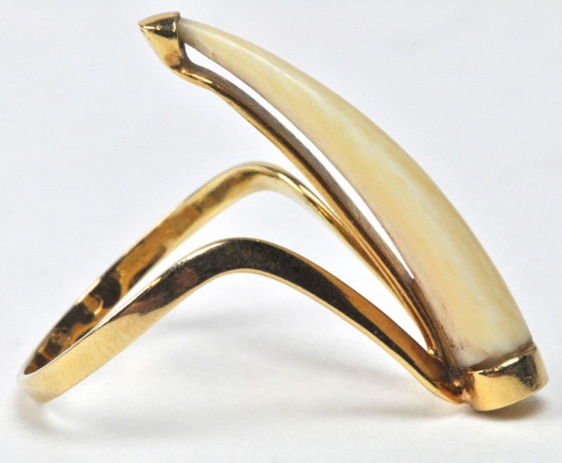 Een paar 18 karaats geel gouden ring bezet met een ivoren tand.