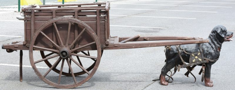 Een oude houten hondenkar. We voegen er een plastic Rottweiler aan toe