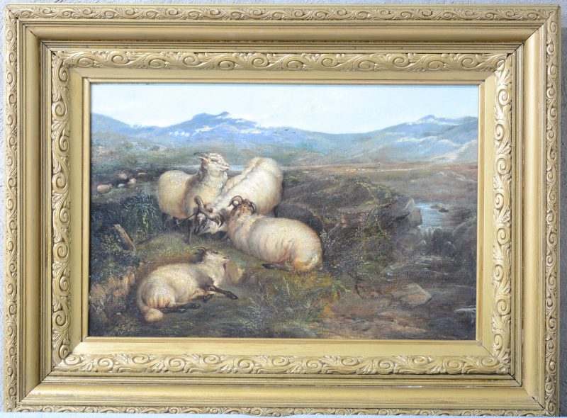 “Schots landschap met schapen”. Olieverf op doek. XIXe eeuw.