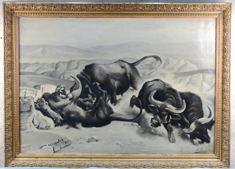 “Gevecht met buffels en een leeuw”. Olieverf op doek. Gesigneerd en gedateer 1898.
