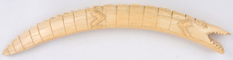 Een gesculpteerde ivoren tand in de vorm van een krokodil. Afrikaans werk.