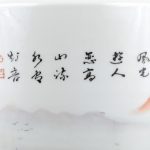 Een vaas van Chinees porselein met een meerkleurig landschapsdecor.