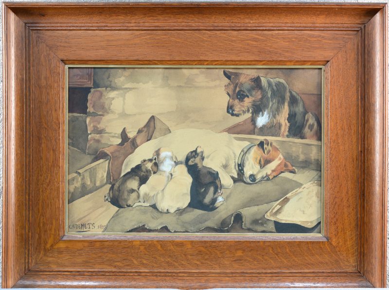 “Hondenfamilie”. Aquarel op papier. Gesigneerd en gedateerd 1895.