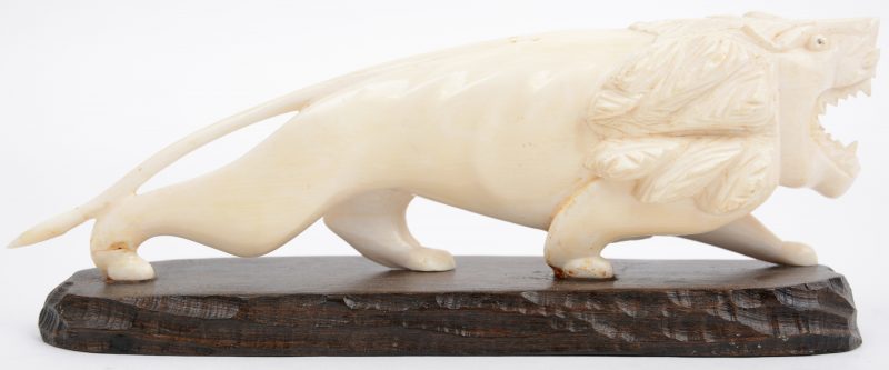 Een leeuw van gesculpteerd Aziatisch ivoor op een houten sokkel. Begin XXe eeuw.