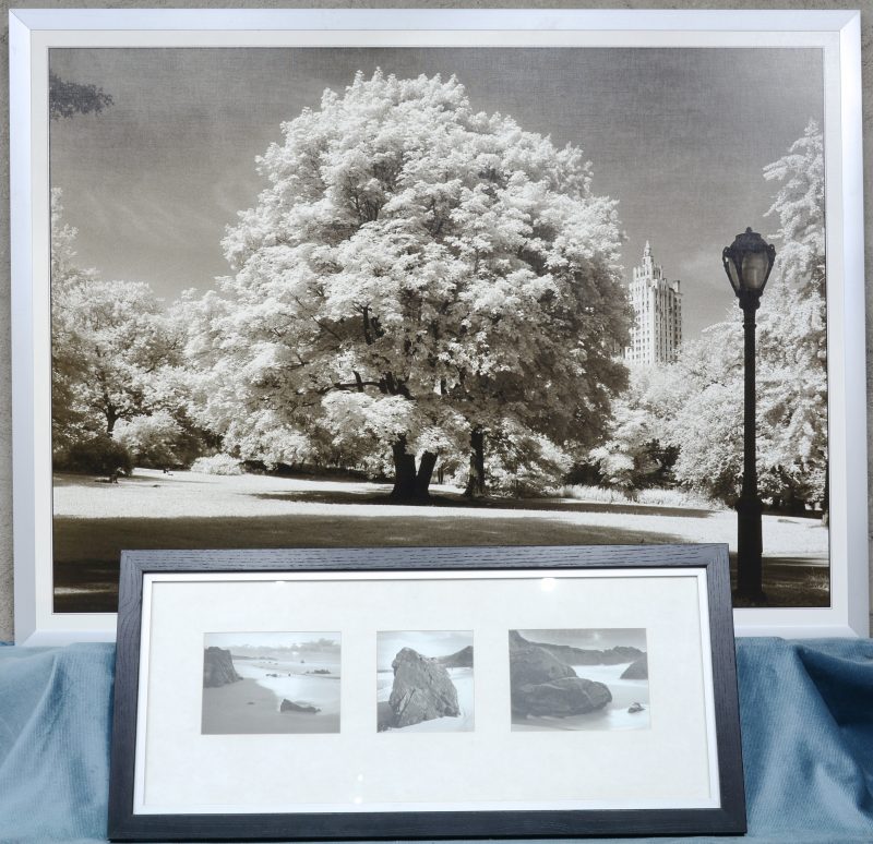 Twee kaders met foto’s, waarbij één met een zicht op Central park.
