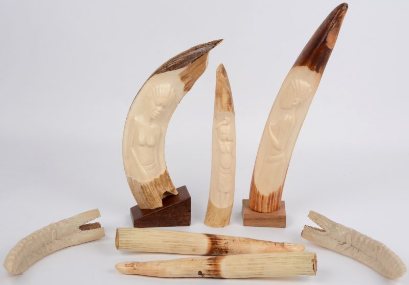 Vijf diverse Afrikaanse sculpturen en 2 onbewerkte tanden.