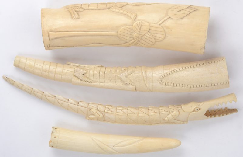 Een lot ivoor bestaande uit een krokodil,een blaasinstrument en twee tandfragmenten. Afrikaans snijwerk.