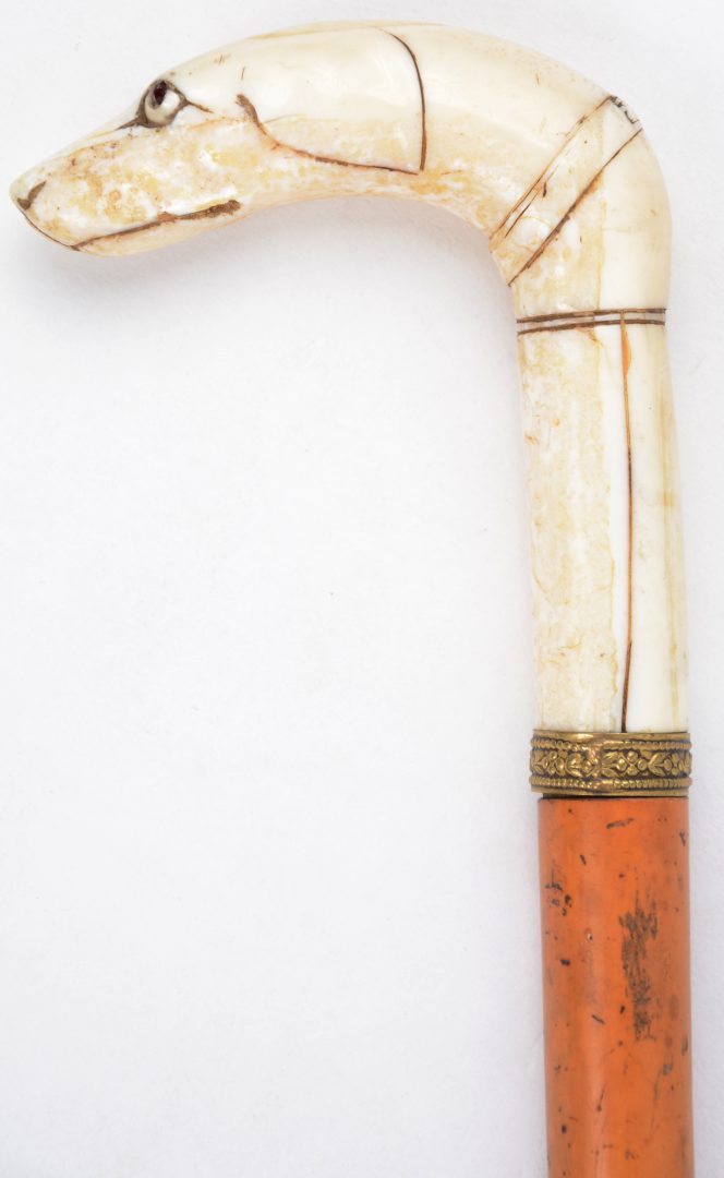 Controverse Rang Monument Een antieke wandelstok met een handvat van gesculpteerd ivoor in de vorm  van een hondenkop. – Jordaens N.V. Veilinghuis