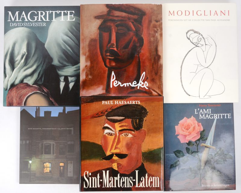 Een lot kunstboeken. Waaronder Mondigliani, Permeke, Matisse en de school van Sint - Martens - Latem uitgegeven door het Mercatorfonds. Zes delen.