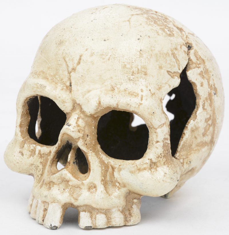 Een schedel van witgepatineerd gietijzer.