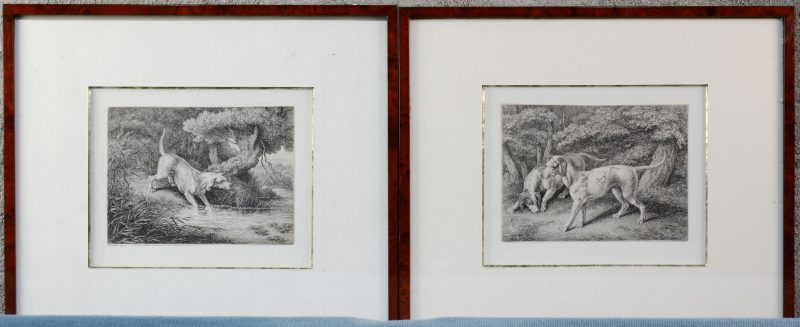 Twee ingekaderde XVIIIe eeuwse gravures met honden, origineel uit een boek.