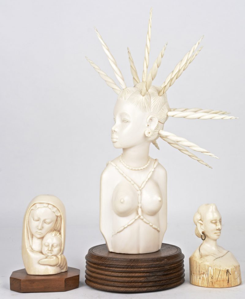 Een Madonna met kind en twee verschillende bustes van gesculpteerd Afrikaans ivoor, waarbij twee op houten sokkeltjes. Eerste helft XXe eeuw.