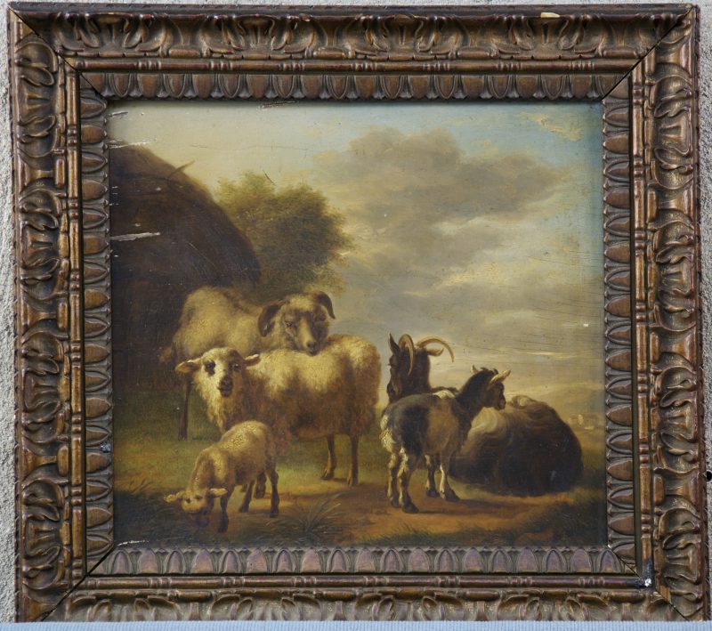 “Schapen en geiten”’. Olieverf op paneel. Vlaamse school, XIXe eeuw. Niet gesigneerd.