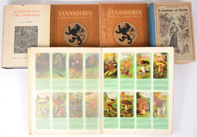 Een lot boeken:- “Vlaanderen door de eeuwen heen”. 2 delen. 1912 & 1913.- “Iconografie van antwerpen. A.J.J. Delen. 1930.- “De strandloper van Marseille”. Emile Richebourg. - “Album Botanica”. Een album met chomo’s van Côte d’Or.