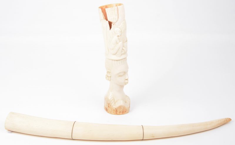 Een kleine slagtand en een gesculpteerd vaasje in de vorm van een vrouwenhoofd van Afrikaans ivoor. Het vaasje beschadigd.