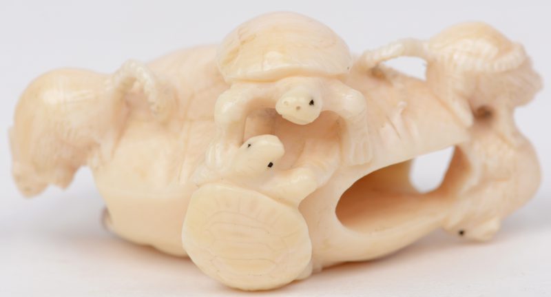 Ivoren netsuké in de vorm van een schildpad. Japans werk, eerste kwart XXste eeuw.
