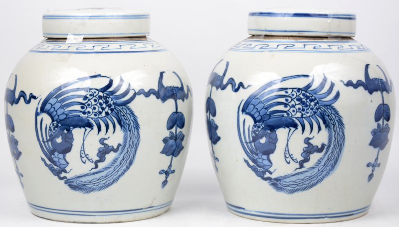 Een paar gemberpotten van Chinees porselein met een blauw op wit decor van pauwen.