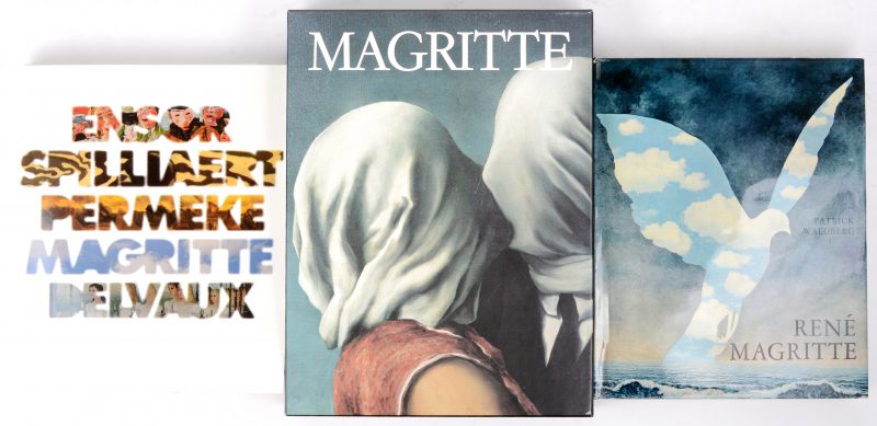 Drie kunstboeken:- “Magritte”. David Sylvester. Ed. Mercatorfonds, 1992.- “René Magritte”. Patrick Waldberg. Ed. André De Rache, Bruxelles 1965.- “Van Ensor tot Delvaux”. Een uitgave van het Museum voor Schone Kunsten Oostende naar aanleiding van een tentoonstelling in ‘96 - ‘97.