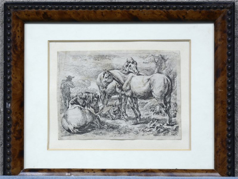 “Herder met paarden en geiten”. Een XVIIe eeuwse gravure. Gemonogrammeerd in de plaat.
