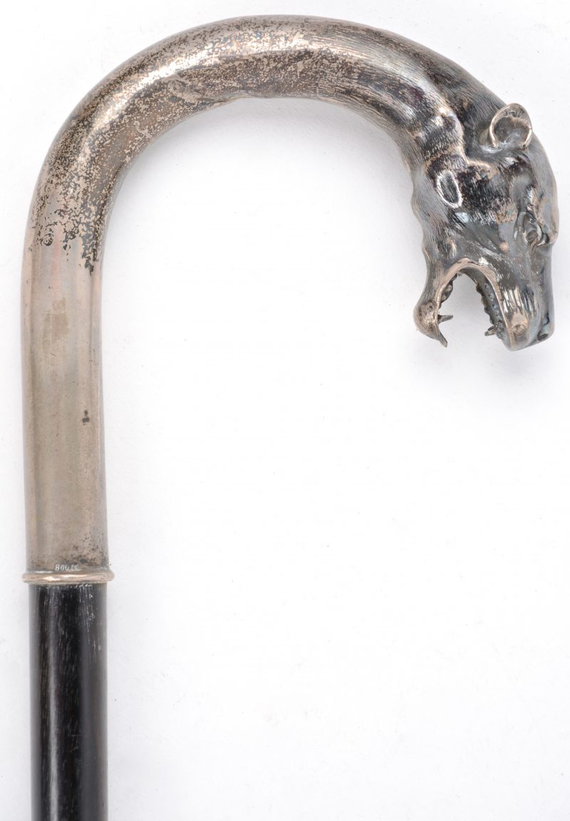 Een wandelstok met een 800‰ zilveren handvat in de vorm van een hondenkop.