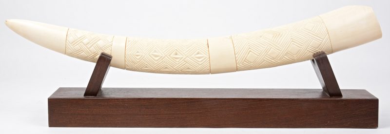 Een gesculpteerde ivoren tand met notenhouten sokkel.