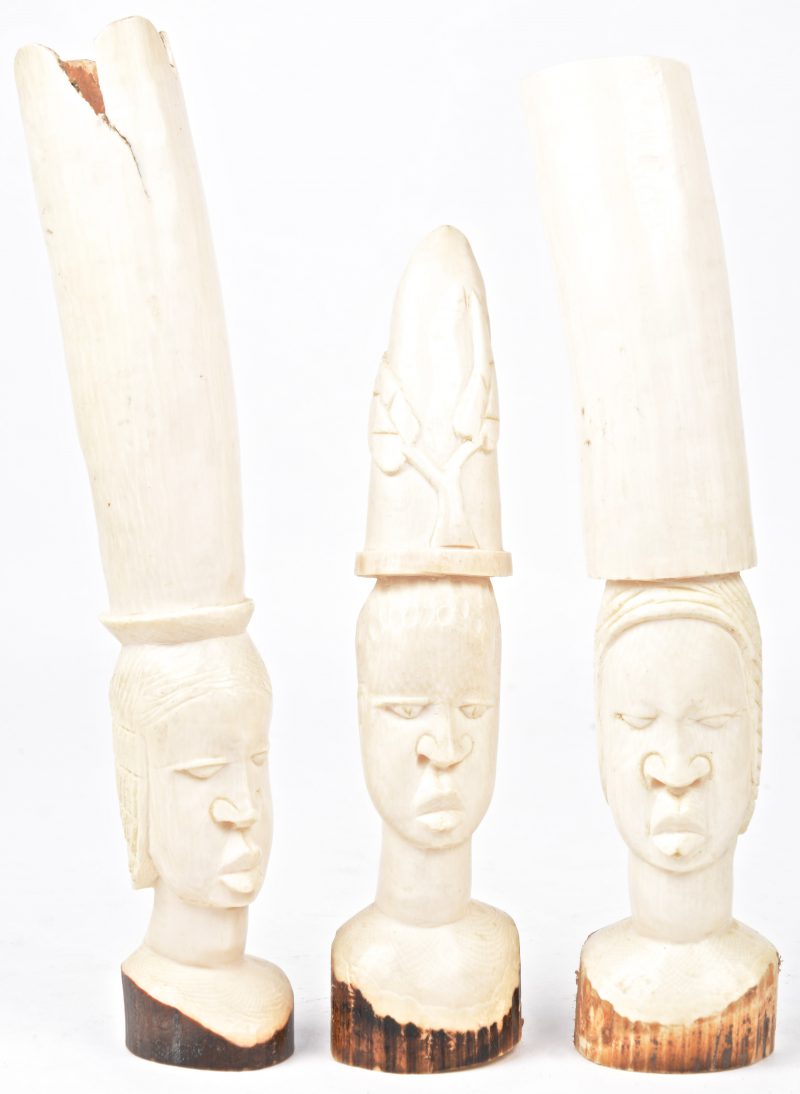 Drie gebeeldhouwde ivoren hoofdjes. Afrikaans werk. 1100 g.
