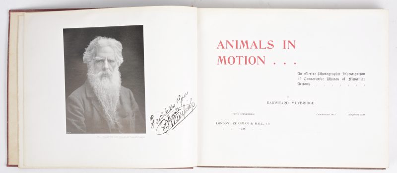 Eadweard Muybridge. “Animals in motion. An Electro-Photographic Investigation of Consecutive Phases of Muscular Actions”. 5de druk. Ed. Chapman & Hall, 1925. In-4°, oblong, slijtage aan cover.