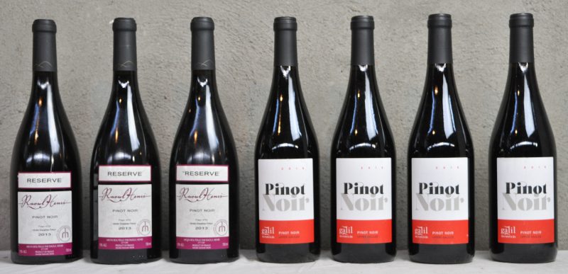 Lot rode wijn        aantal: 7 bt Pinot Noir Réserve I.G.P. Pays d’Oc  Raoul Henri M.O.  2013  aantal: 3 bt Pinot Noir Upper Galilée I.G.P. Pays d’Oc  Galil Mountain Winery, Yiron Vineyard M.O.  2015  aantal: 4 bt