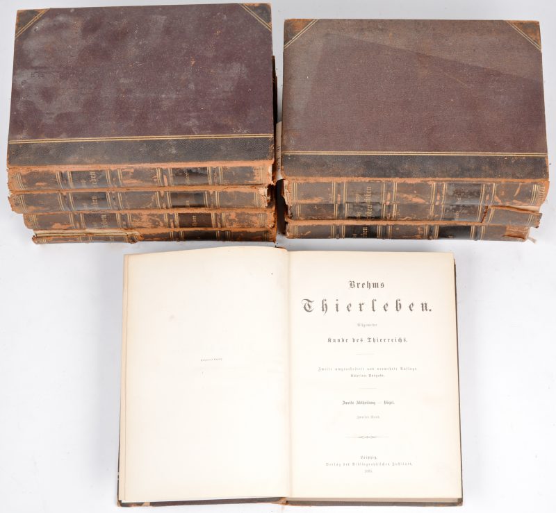 “Brehms Thierleben”. Een reeks van acht Duitstalige encyclopedieën over het dierenrijk. Leipzig, eind XIXe eeuw.