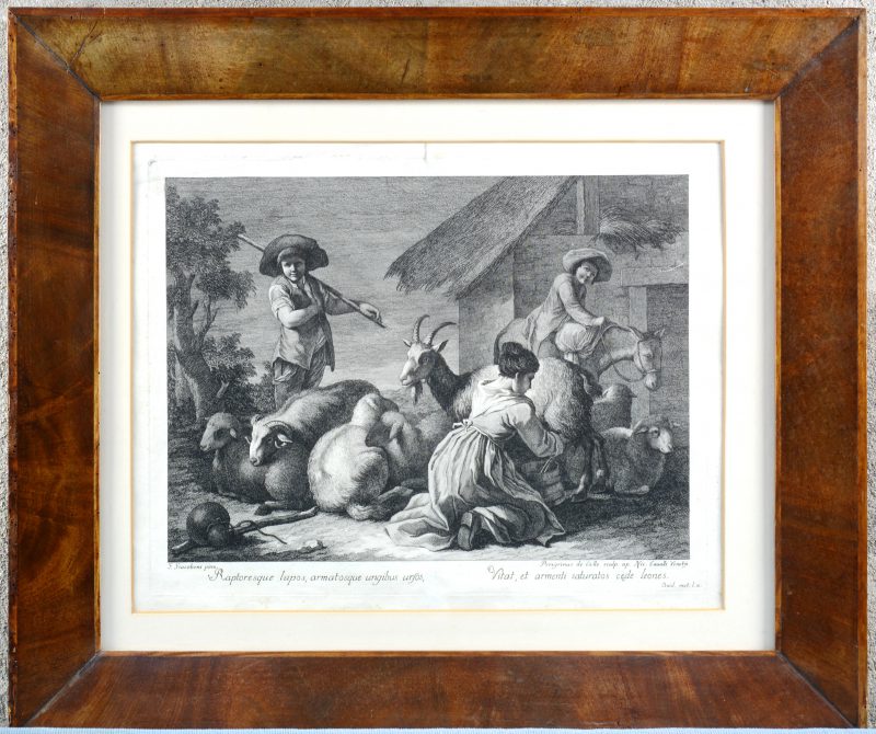 “Binnenbrengen van het vee”. Een Italiaanse gravure. Venetië, 1750.