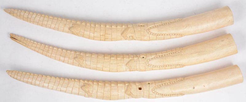 Drie gesculpteerde Afrikaanse slagtanden in de vorm van krokodillen.