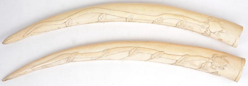 Twee gesculpteerde slagtanden, beide versierd met een slang, die een kikker aanvalt. Congo, eerste kwart XXste eeuw.