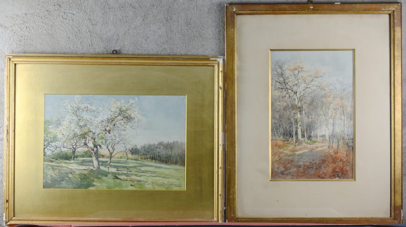 “Bomen in het bos en boomgaard”. Twee ingekleurde aquarels. Gesigneerd.