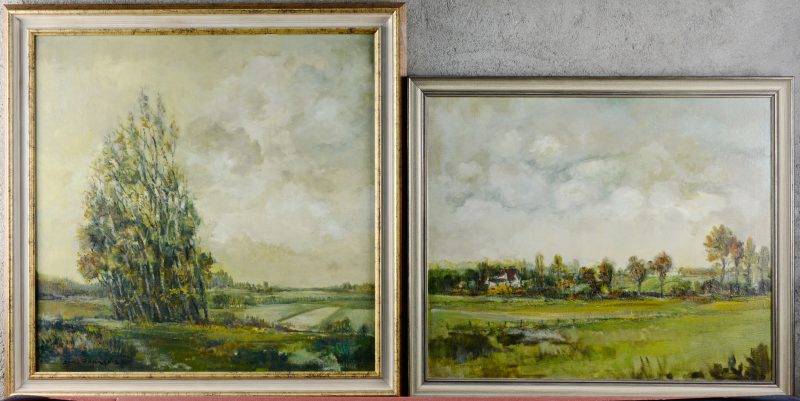 “Nazomer & “In Hekelgem”. Twee schilderijen, olieverf op doek. Beide gesigneerd en resp. gedateerd 1973 & 1975.