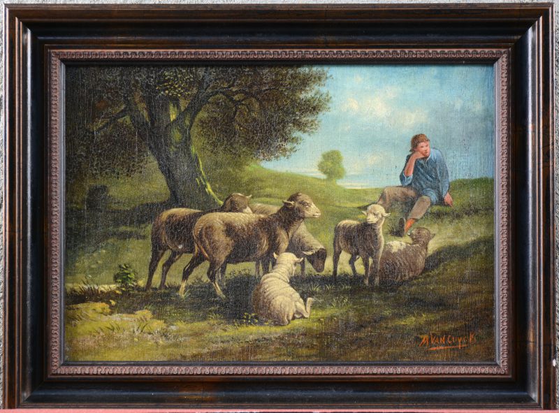 “Herder met schapen”. Olieverf op doek. Gesigneerd.