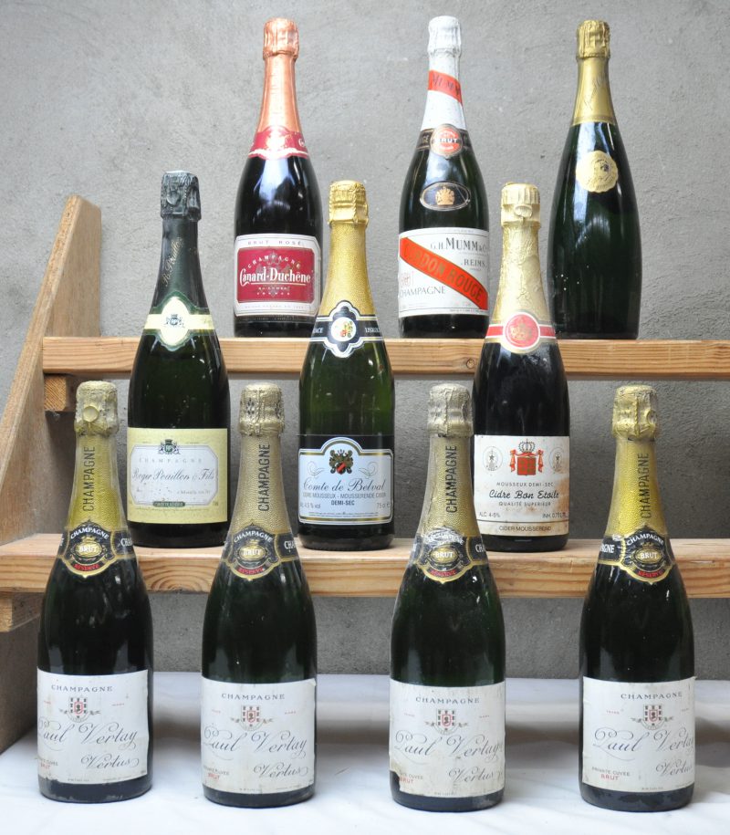 Lot schuimwijn        aantal: 10 Bt.    Paul Vertay Brut A.C. Champagne       aantal: 4 Bt.    Cidre Bon Etoile demi-sec        aantal: 1 Bt.    Cidre Comte de Belval demi-sec        aantal: 1 Bt.    Roger Pouillon & Fils Brut A.C. Champagne       aantal: 1 Bt.    G.H. Mumm & Co. Cordon Rouge Brut A.C. Champagne       aantal: 1 Bt.    Canard-Duchêne Brut rosé A.C. Champagne       aantal: 1 Bt.    “Special Club” A.C. Champagne  Club de Viticulteurs Champenois     aantal: 1 Bt.