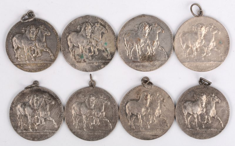 8 diverse medailles, Amélioration de l’Espèce Chevaline - Verbetering der Paardenrassen. Koninkrijk België - Royaume de Belgique. Begin XXste eeuw. Zilver.