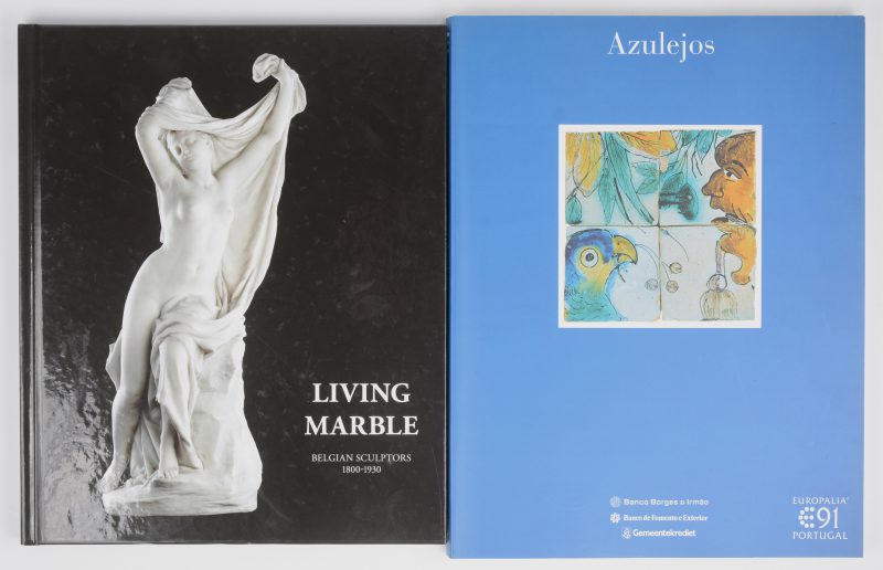 Twee documentatieboeken:- “Living marble. Belgian sculptors 1800 - 1930”. Paul Verbraeken. Ed. Artimo. Brussel, 2017. Genummerd exemplaar.- “Azulejos”. Uitgave naar aanleiding van Europalia 1991.