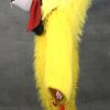 Een kippenpak. Carnavalskostuum.