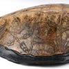 Een bewerkt schild van een zeeschildpad. Angola.