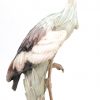Een meerkleurig kunststoffen kraanvogel naar ontwerp van Guiseppe Armani.