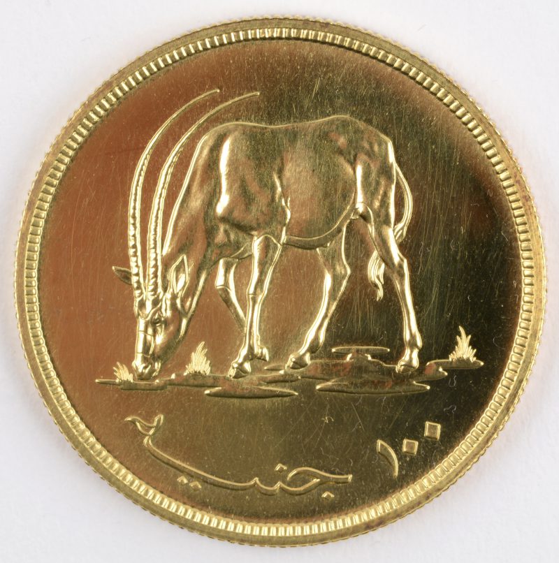 1 gouden munt van 100 Pond. “Conservation”. Au 900/1000. Sudan 1976. Recto: wapenschild, verso: oryx.