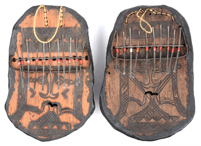Twee Afrikaanse muziekinstrumenten met schildpadschilden.