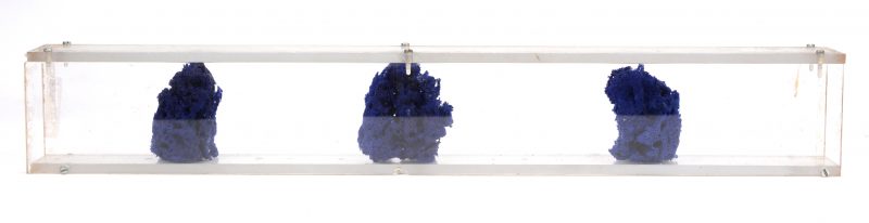 Blauwe natuurspons (drie stuks) in een plexi houder.
