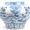 Een vaas van Chinees porselein met een blauw op wit decor van draken en vogels en versierd met hondenkopjes in reliëf.