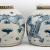 Een paar gemberpotten van Chinees porselein met een blauw op wit decor van draken.