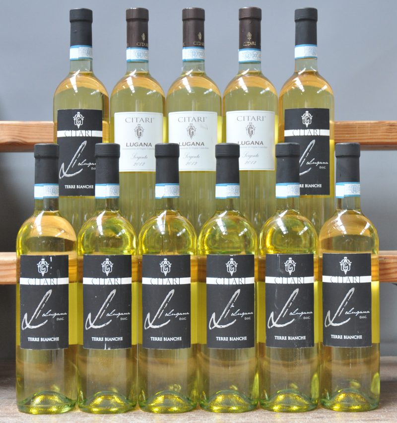 Lot witte wijn         aantal: 11 Bt.    Citari Sorgente  D.O.C. Lugana     2012  aantal: 3 Bt.    Citari Terre Bianche D.O.C. Lugana     2013  aantal: 8 Bt.