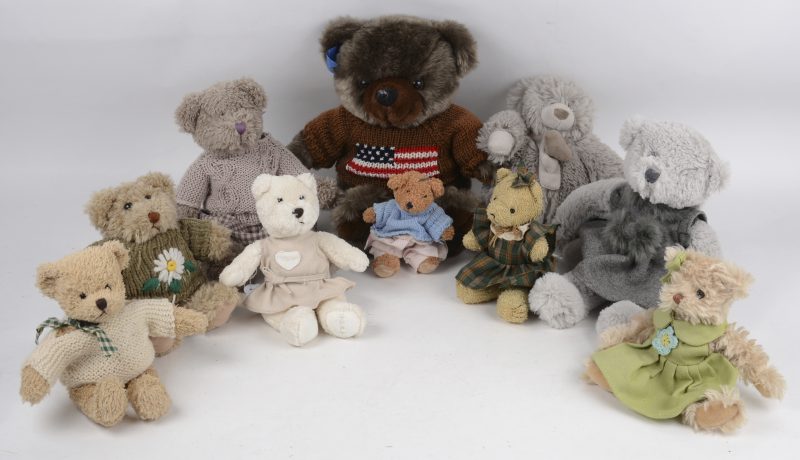 Tien diverse teddyberen van verschillende afmetingen.