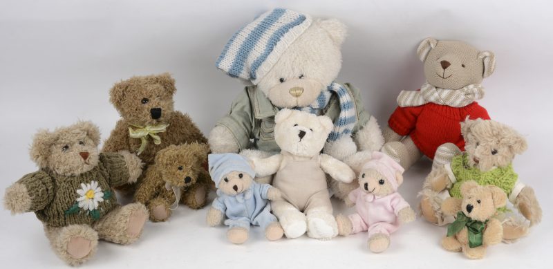 Tien diverse teddyberen van verschillende afmetingen.